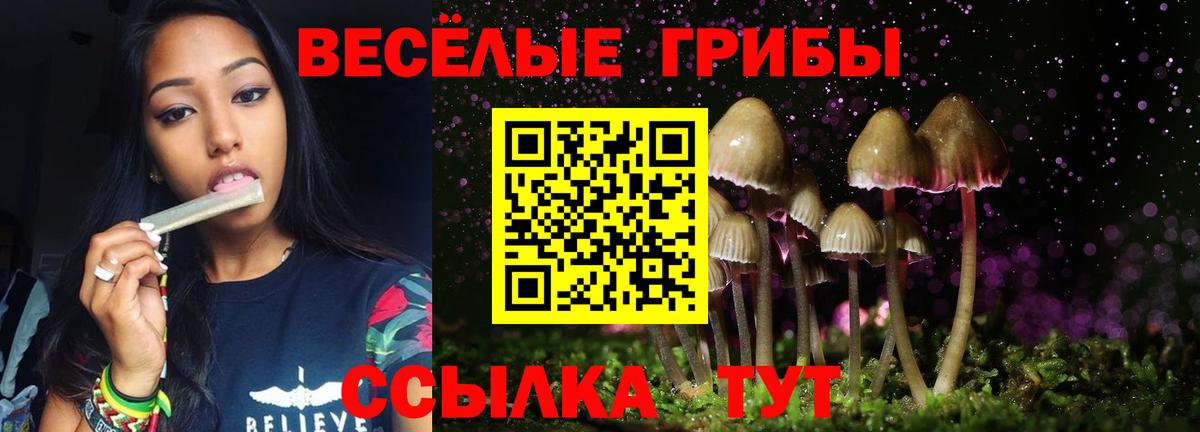 Псилоцибиновые грибы MAGIC MUSHROOMS  Псилоцибиновые грибы прущие грибы  Вход с VPN  Дивногорск 